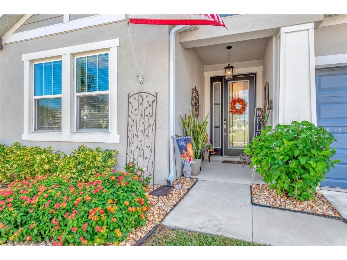 7213 Talamore Drive Wesley Chapel FL 33545 TB8446844 image4