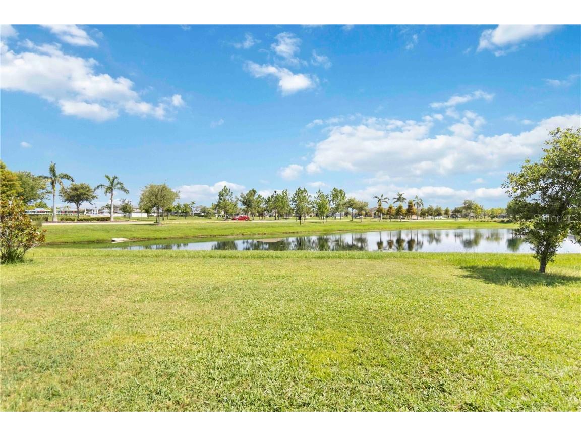 7213 Wash Island Drive Sun City Center FL 33573 A4660682 image48