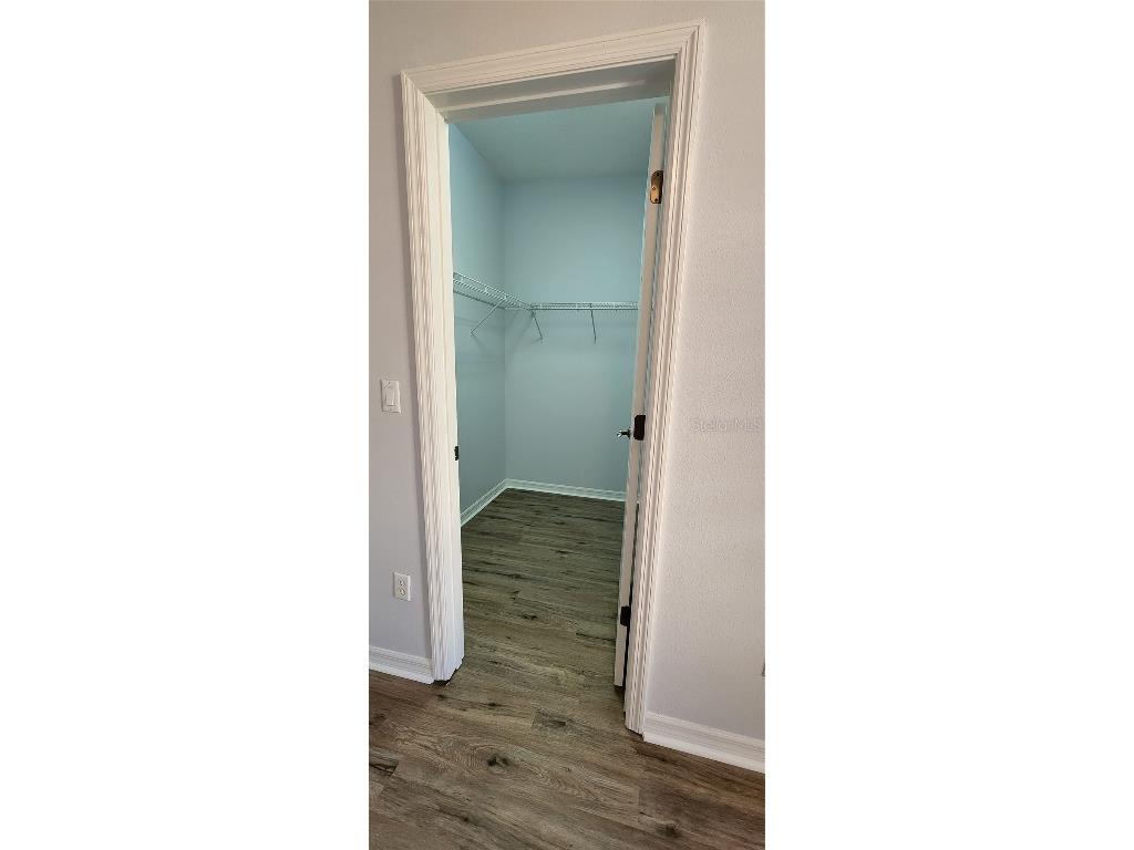 7214 Beakrush Lane Winter Garden FL 34787 O6297630 image10