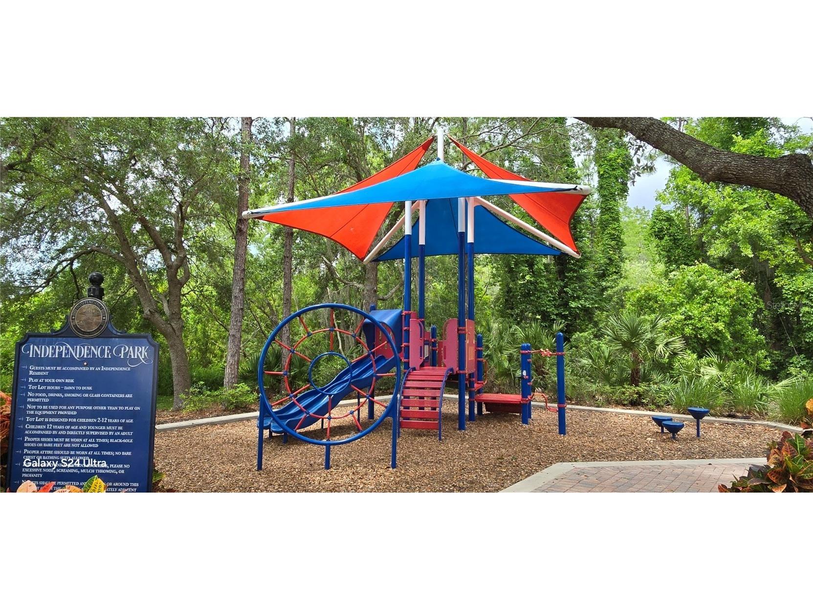 7214 Beakrush Lane Winter Garden FL 34787 O6297630 image56