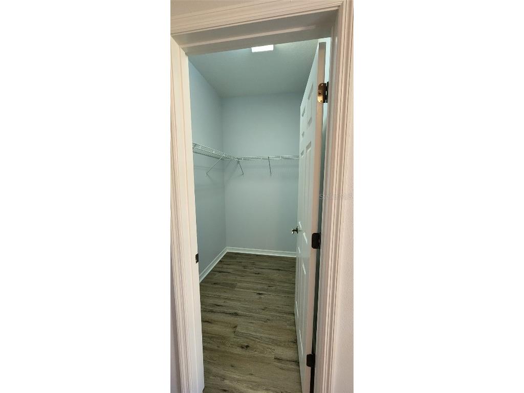 7214 Beakrush Lane Winter Garden FL 34787 O6297630 image6