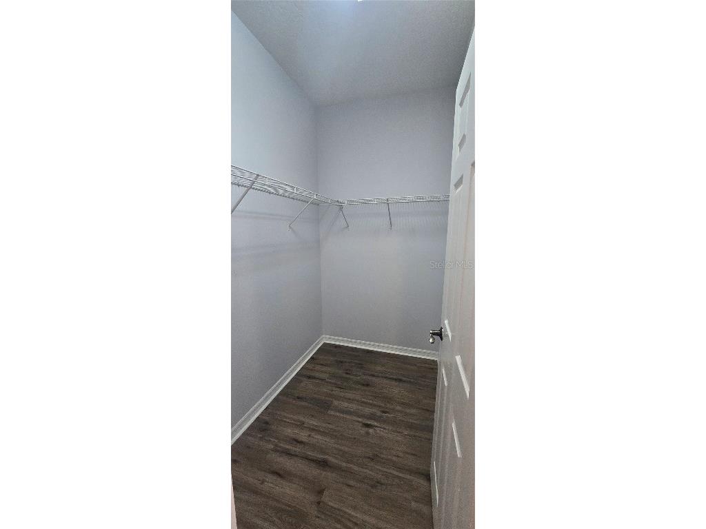 7214 Beakrush Lane Winter Garden FL 34787 O6297630 image93