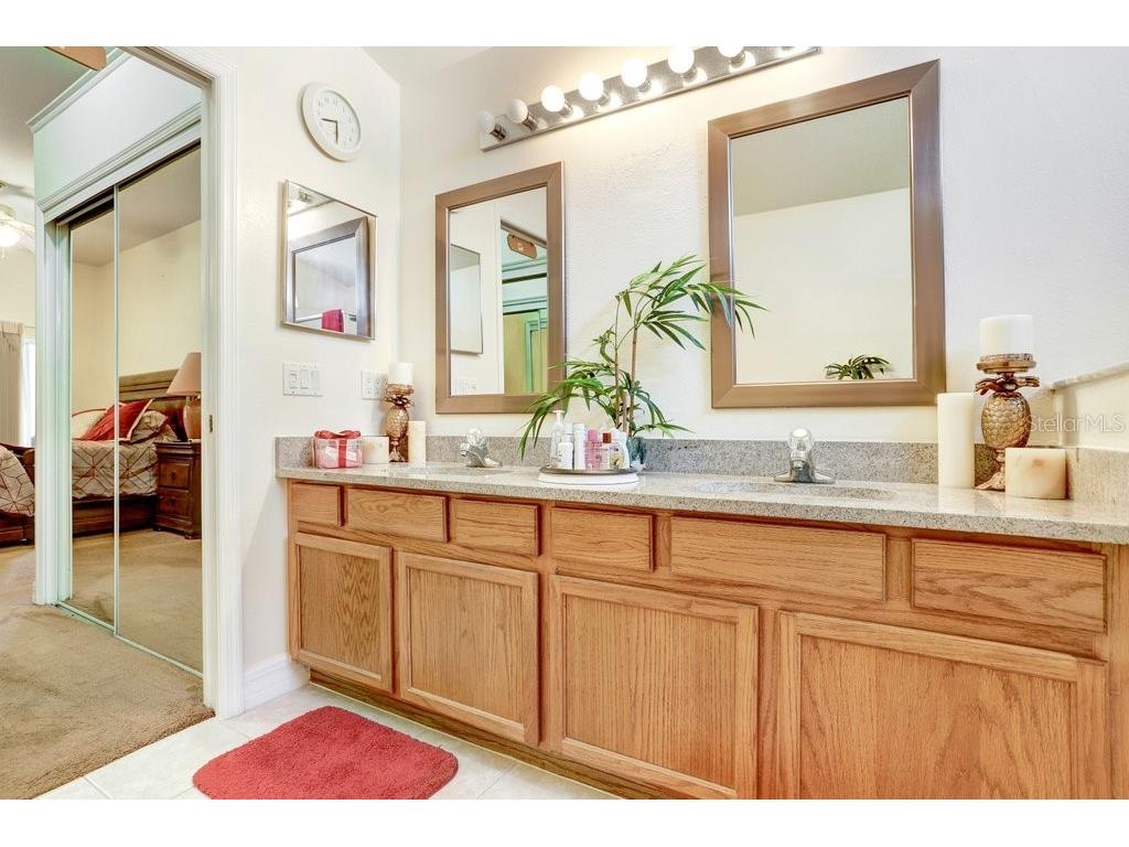 7214 Bucks Ford Drive Riverview FL 33578 TB8454201 image11