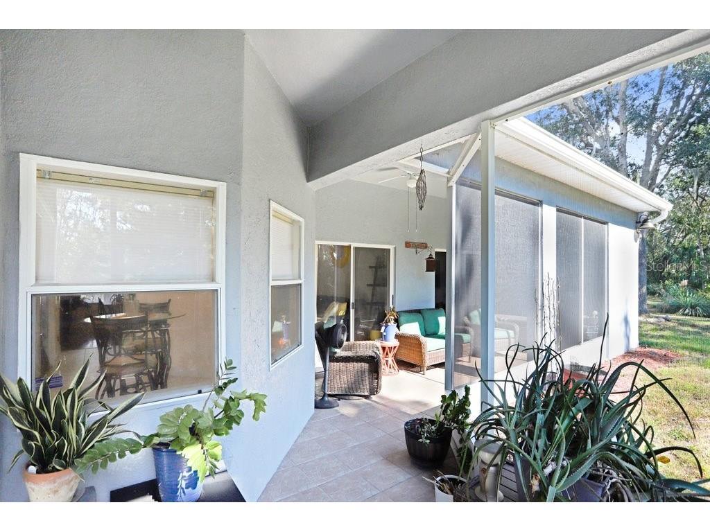 7214 Bucks Ford Drive Riverview FL 33578 TB8454201 image25