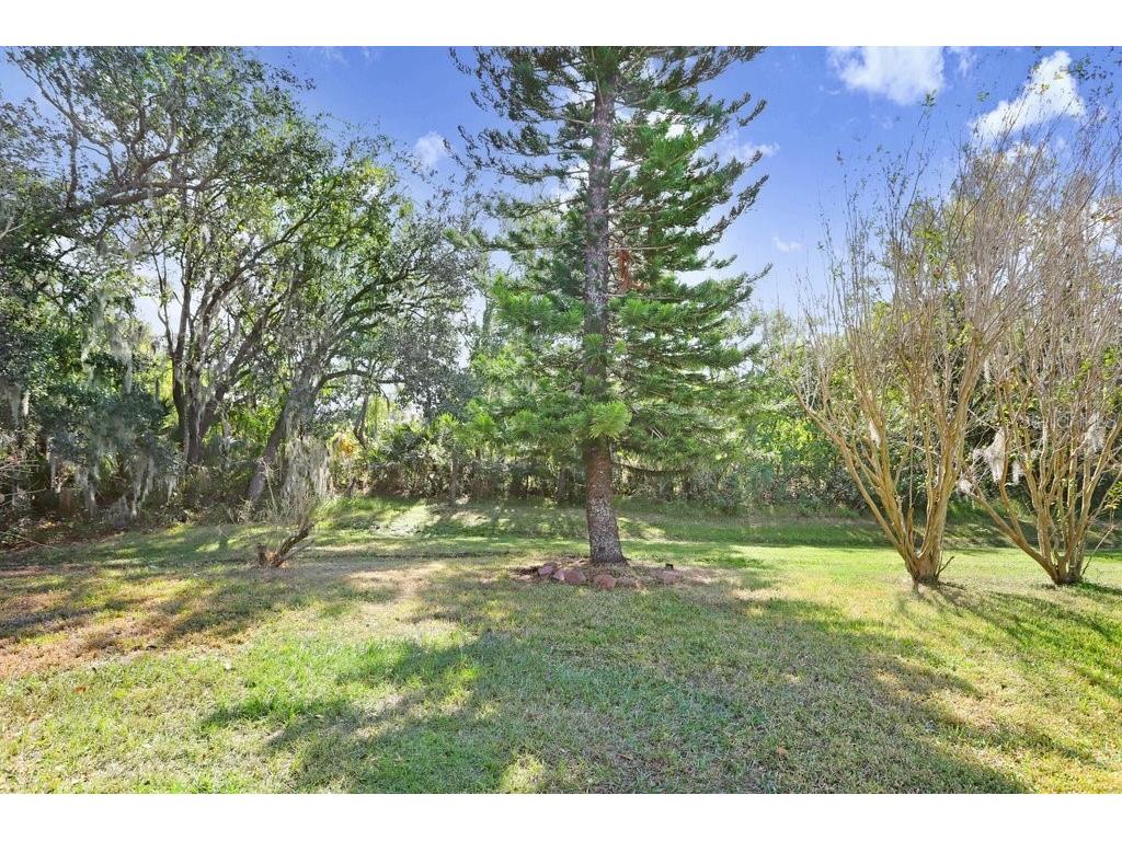 7214 Bucks Ford Drive Riverview FL 33578 TB8454201 image26