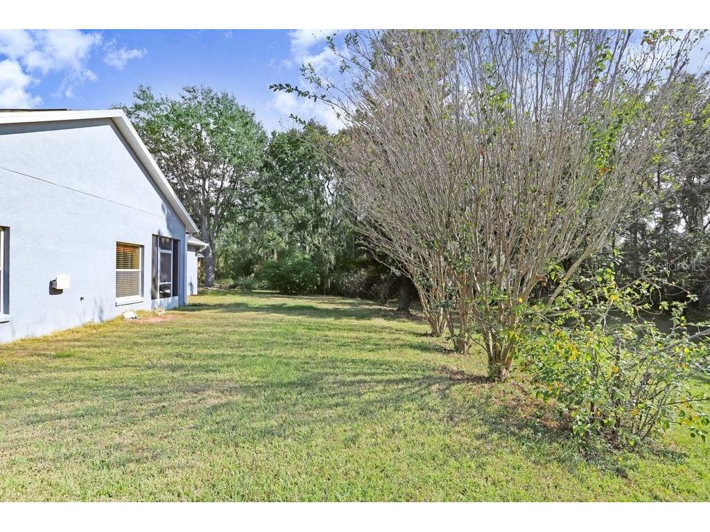 7214 Bucks Ford Drive Riverview FL 33578 TB8454201 image27