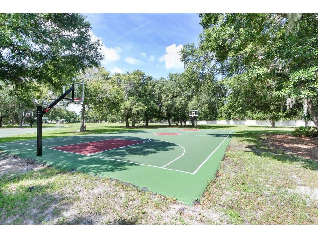 7214 Bucks Ford Drive Riverview FL 33578 TB8454201 image31