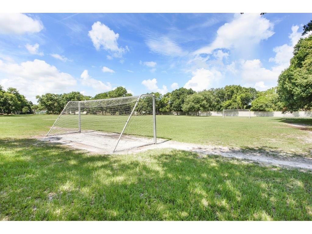 7214 Bucks Ford Drive Riverview FL 33578 TB8454201 image32