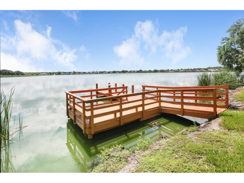 7214 Bucks Ford Drive Riverview FL 33578 TB8454201 image33