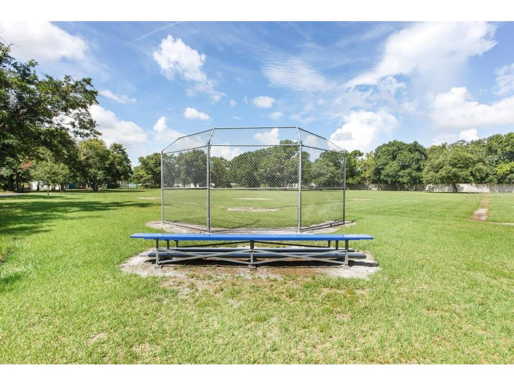 7214 Bucks Ford Drive Riverview FL 33578 TB8454201 image34