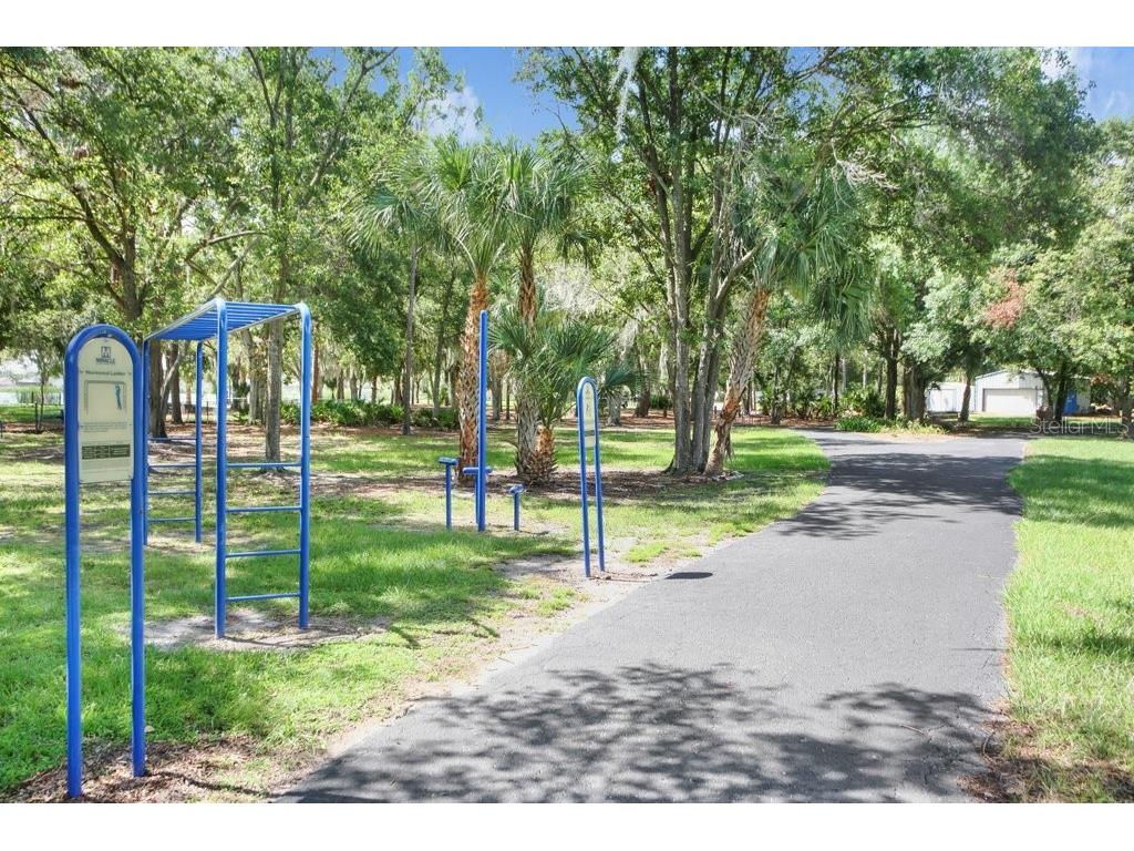 7214 Bucks Ford Drive Riverview FL 33578 TB8454201 image35