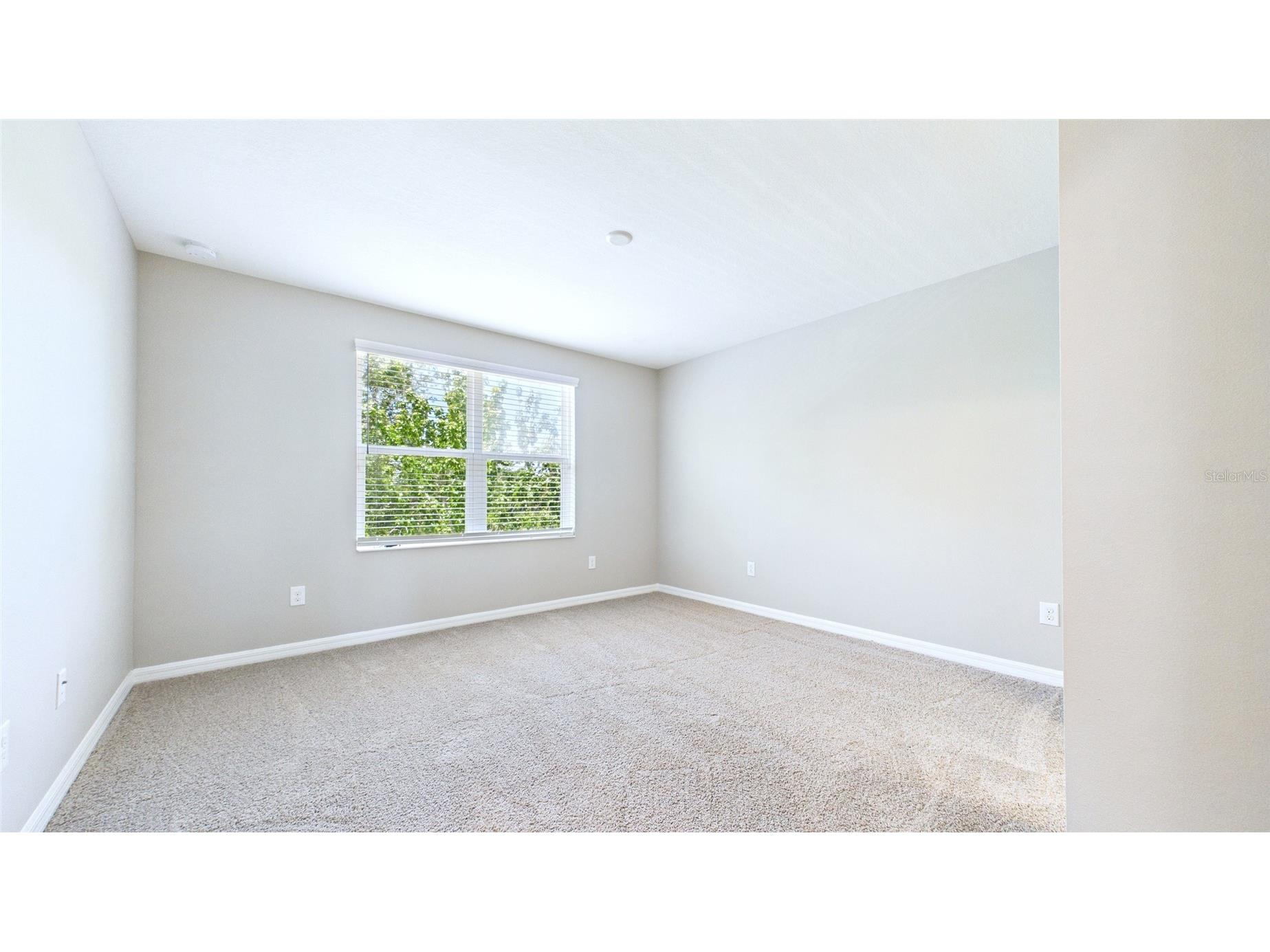 7214 Grand Elm Drive Riverview FL 33578 TB8515832 image24