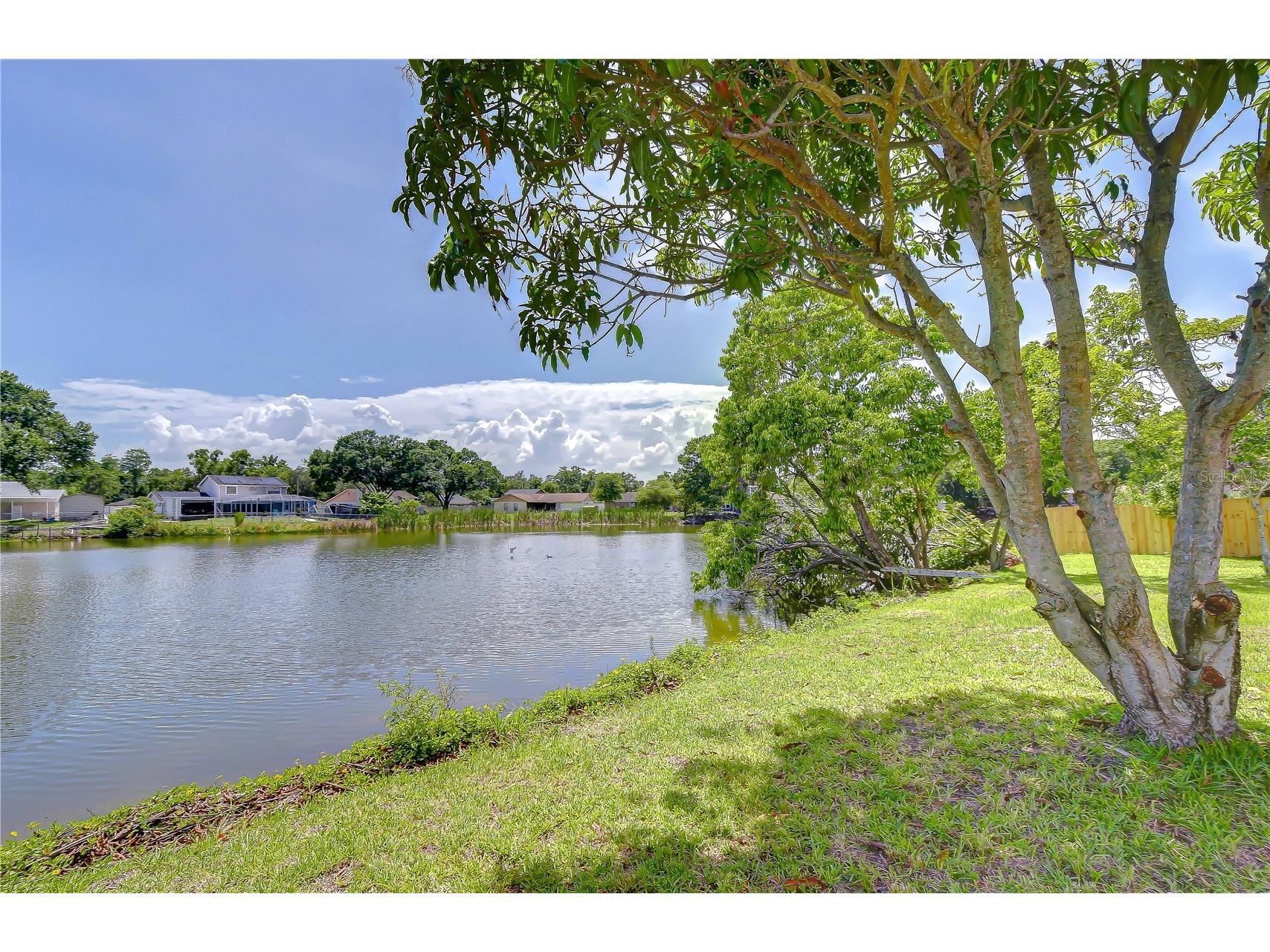 7214 Nia Lane Tampa FL 33625 TB8512218 image18