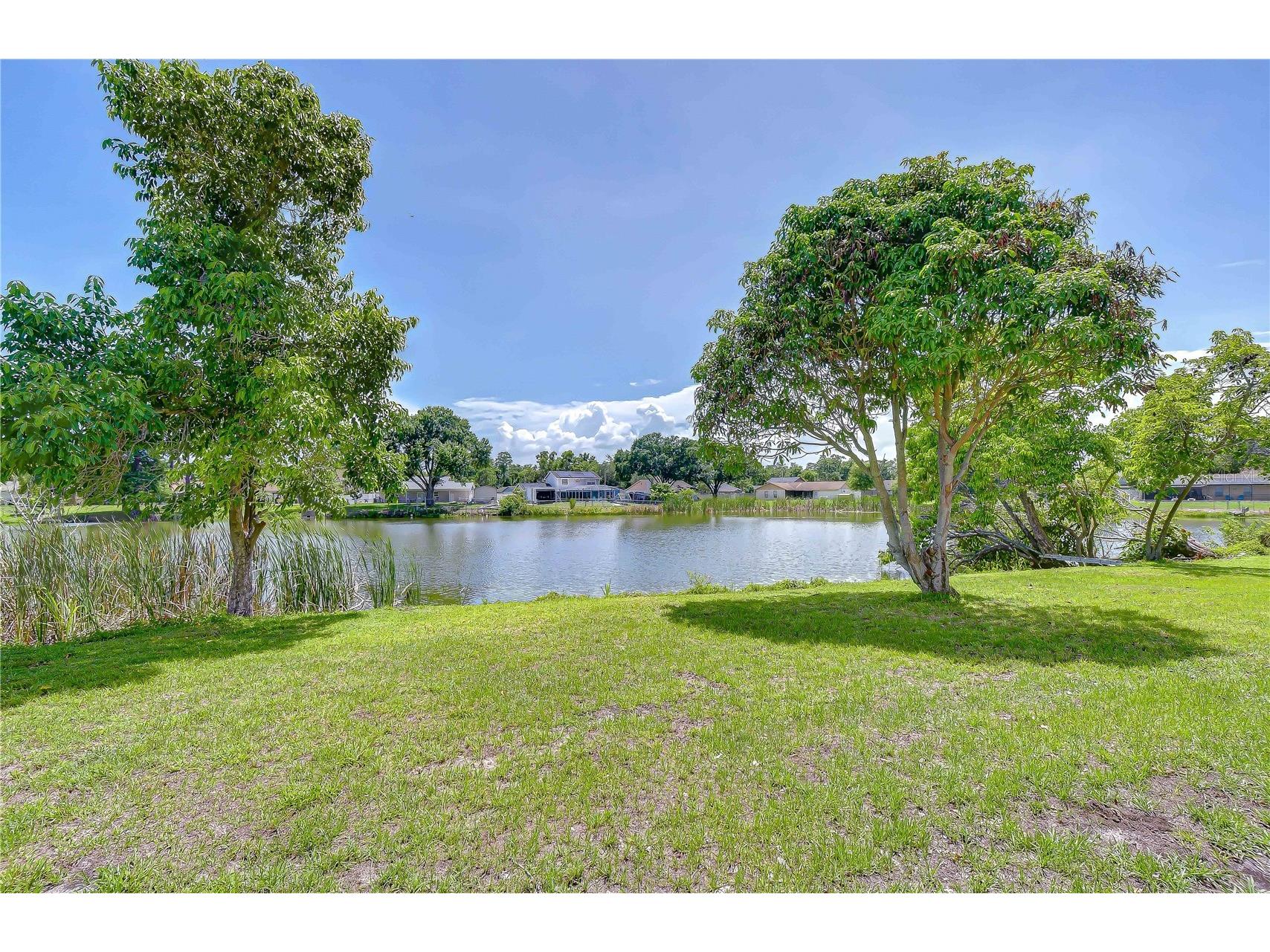 7214 Nia Lane Tampa FL 33625 TB8512218 image19