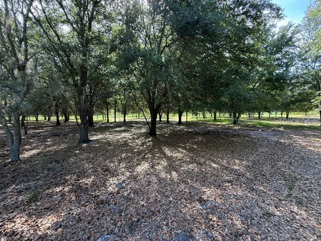 7214 Oil Well Road Clermont FL 34714 G5113461 image12