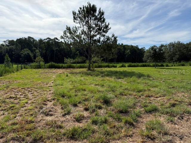 7214 Oil Well Road Clermont FL 34714 G5113461 image2