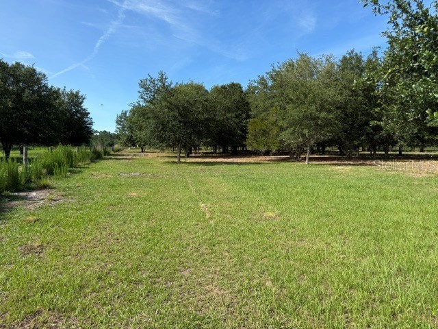 7214 Oil Well Road Clermont FL 34714 G5113461 image4