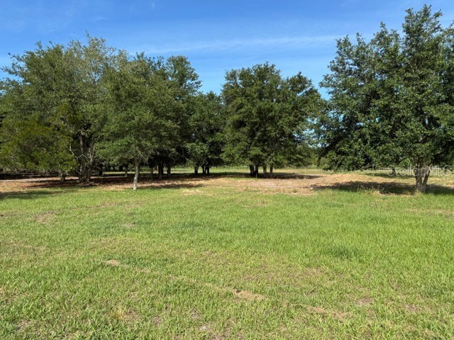 7214 Oil Well Road Clermont FL 34714 G5113461 image5