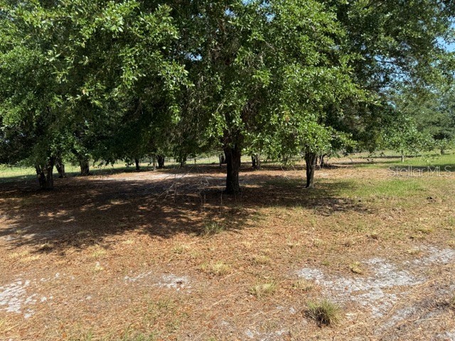 7214 Oil Well Road Clermont FL 34714 G5113461 image6