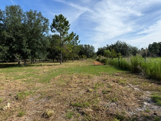7214 Oil Well Road Clermont FL 34714 G5113461 image7