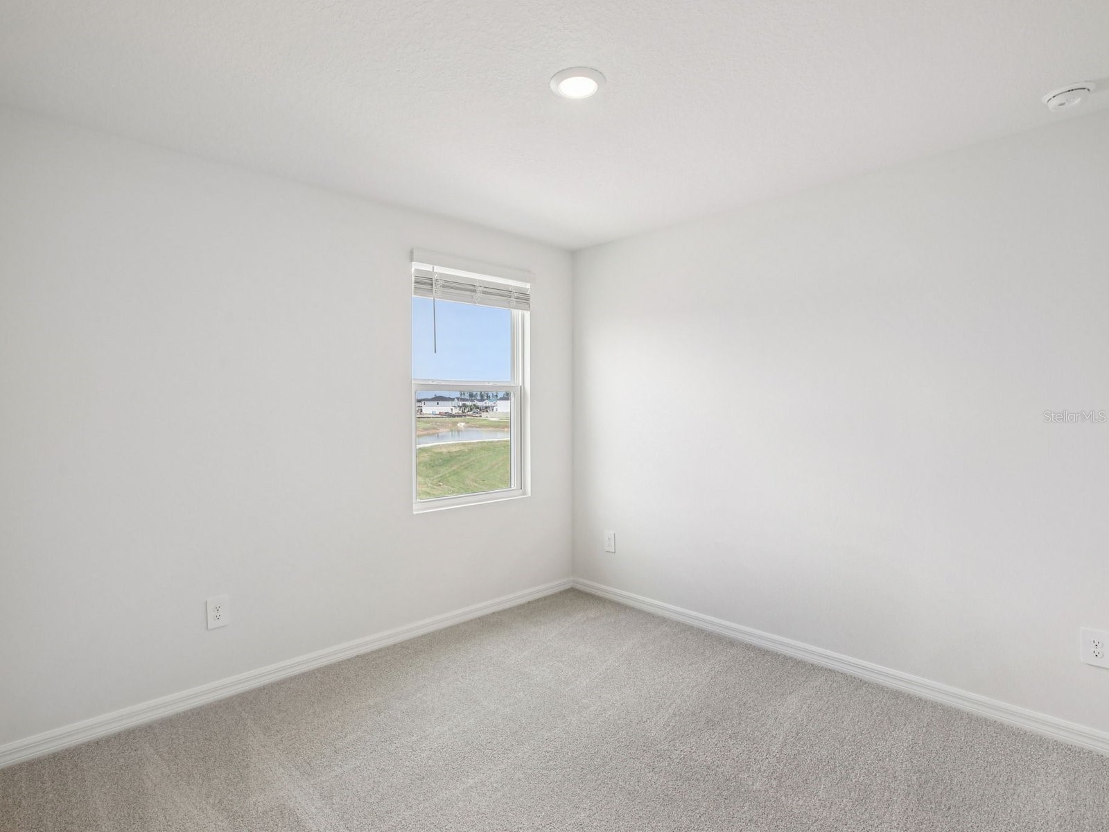 7214 Ray Creek Drive Brooksville FL 34601 TB8479724 image18