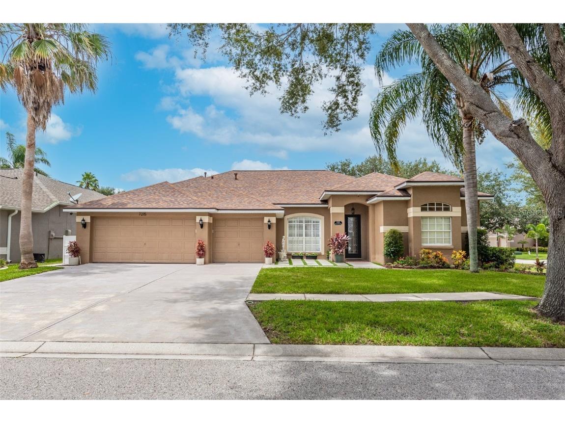 7215 Bucks Ford Drive Riverview FL 33578 T3458083 image1