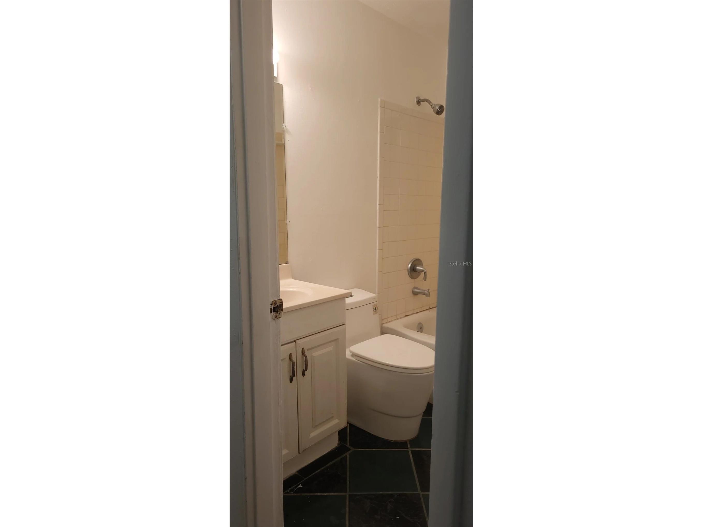 7215 Peyton Place Orlando FL 32818 O6409641 image8