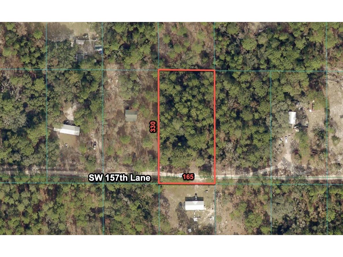 7215 SW 157 Lane Dunnellon FL 34432 O6302480 image1