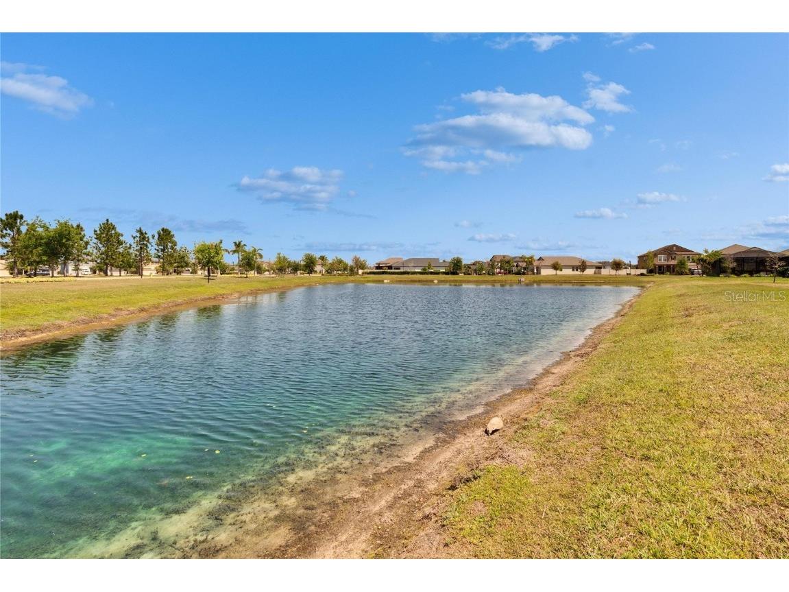 7215 Wash Island Drive Sun City Center FL 33573 TB8445544 image47