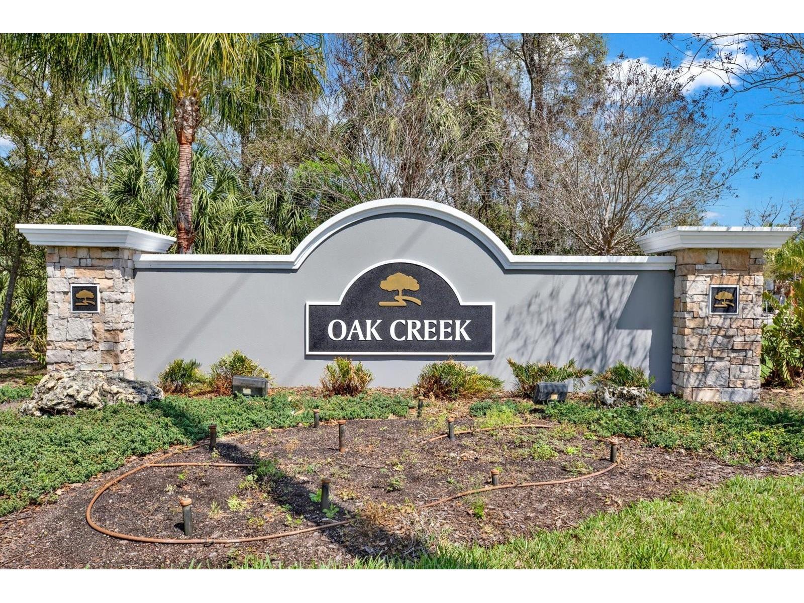 7217 Blue Beech Drive Riverview FL 33578 TB8485365 image50