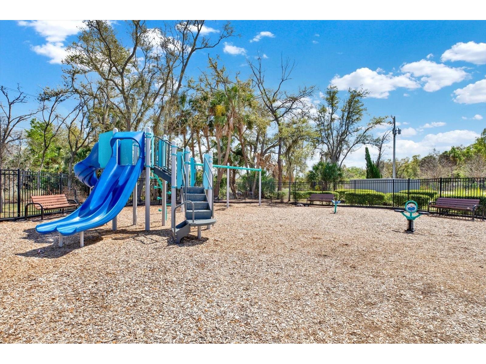 7217 Blue Beech Drive Riverview FL 33578 TB8485365 image53