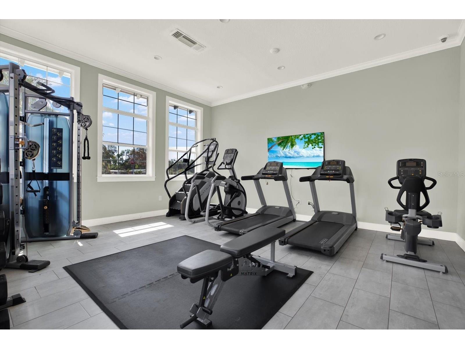 7217 Blue Beech Drive Riverview FL 33578 TB8485365 image56