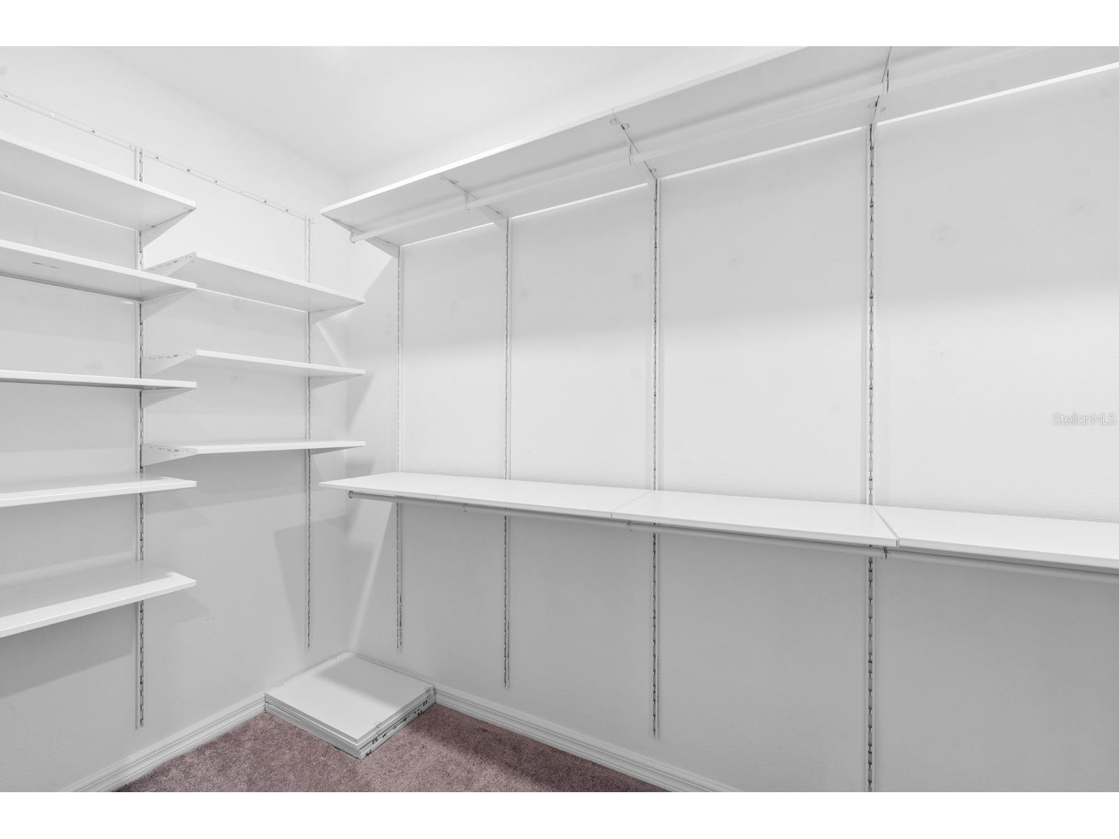 7217 Ronnie Gardens Court Tampa FL 33619 TB8492926 image20