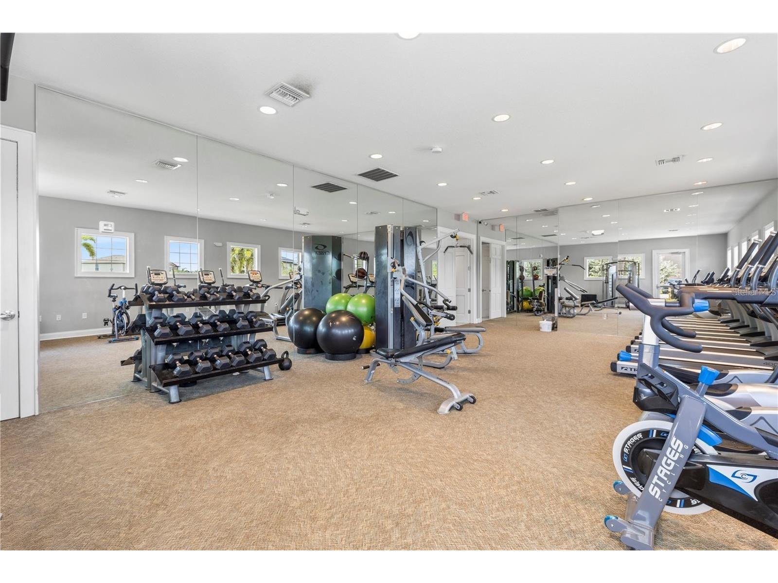 7217 Ronnie Gardens Court Tampa FL 33619 TB8492926 image48