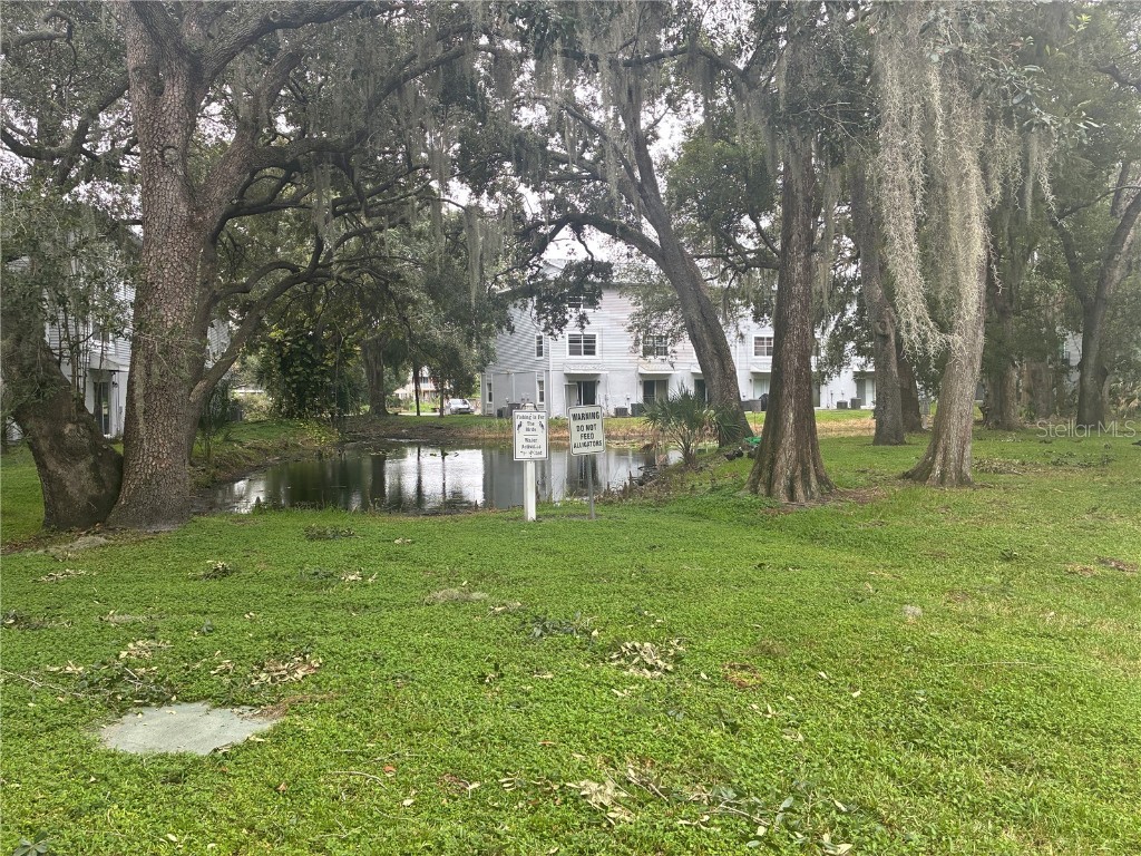 7218 E Bank Dr Tampa FL 33617 TB8453999 image26