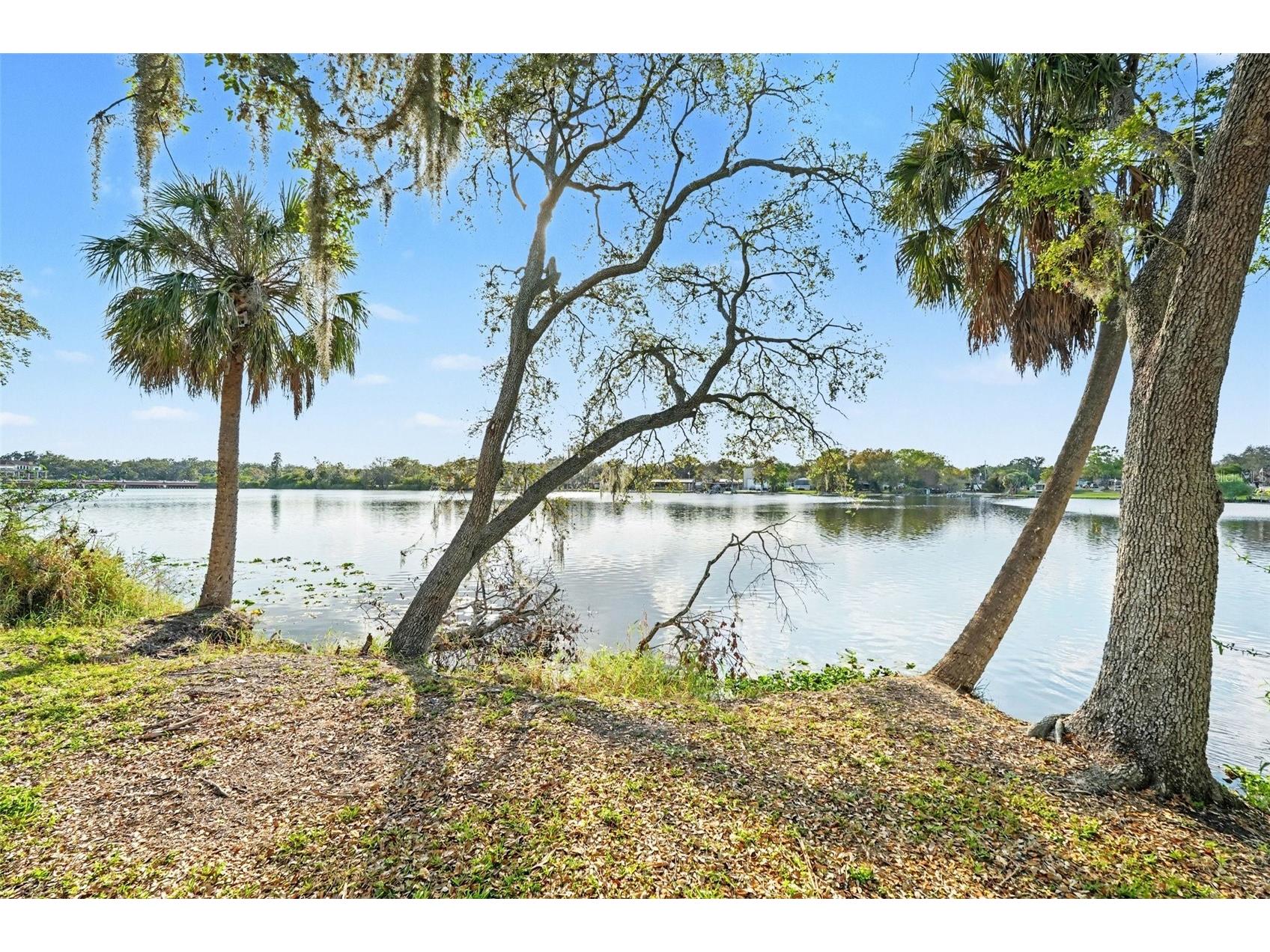 7218 E Bank Drive #205 Tampa FL 33617 - HILLSBOROUGH RIVER TB8484440 image34