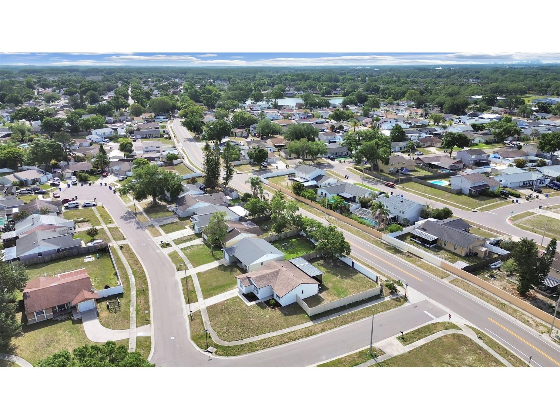 7218 Lunita Court Tampa FL 33625 TB8503652 image59