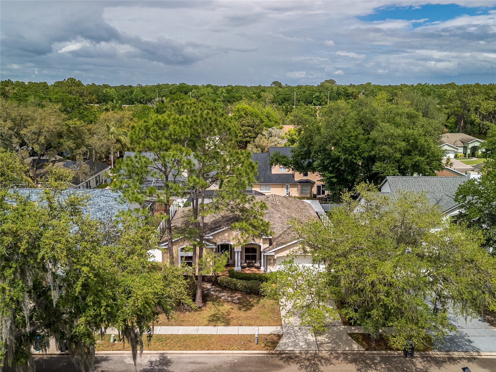 7218 Yardley Way Tampa FL 33647 TB8489605 image45