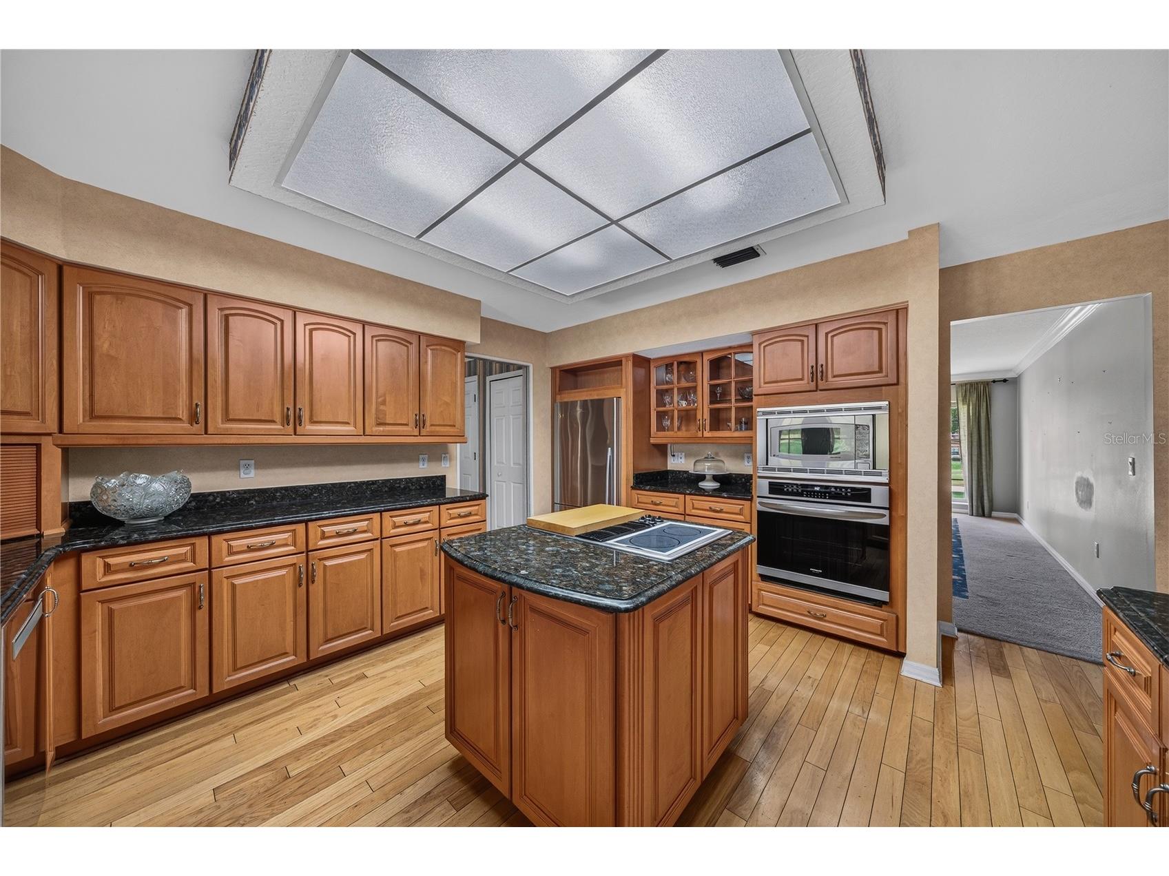 7219 Chesterhill Circle Mount Dora FL 32757 O6419625 image24