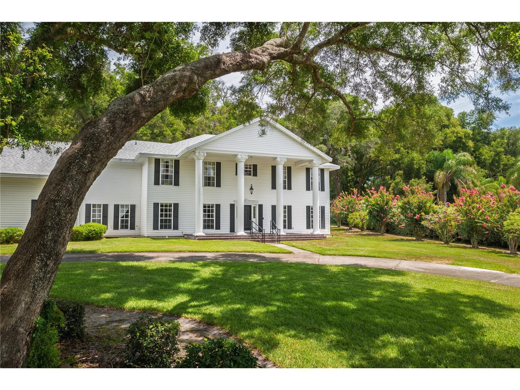 7219 Chesterhill Circle Mount Dora FL 32757 O6419625 image3