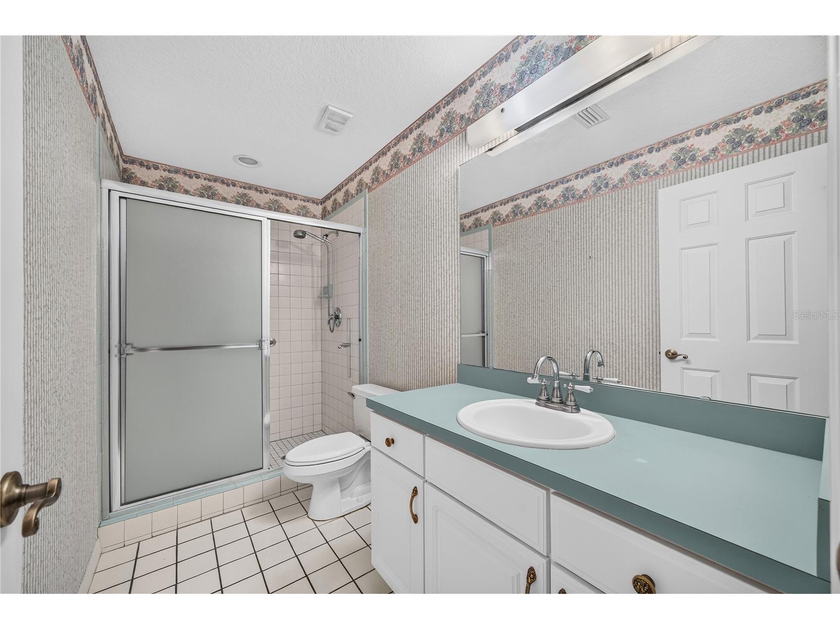 7219 Chesterhill Circle Mount Dora FL 32757 O6419625 image36