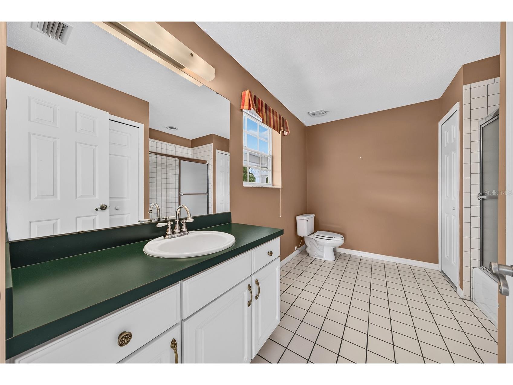 7219 Chesterhill Circle Mount Dora FL 32757 O6419625 image49
