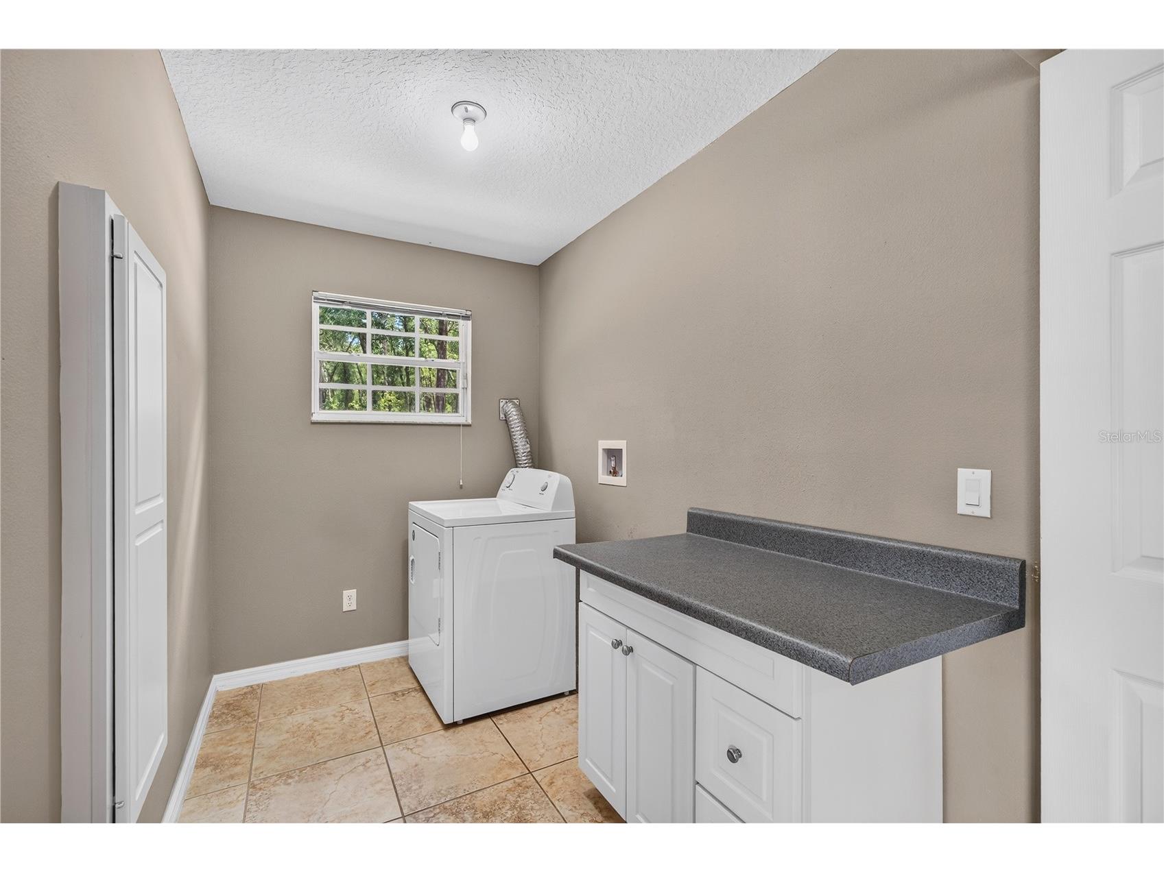 7219 Chesterhill Circle Mount Dora FL 32757 O6419625 image59