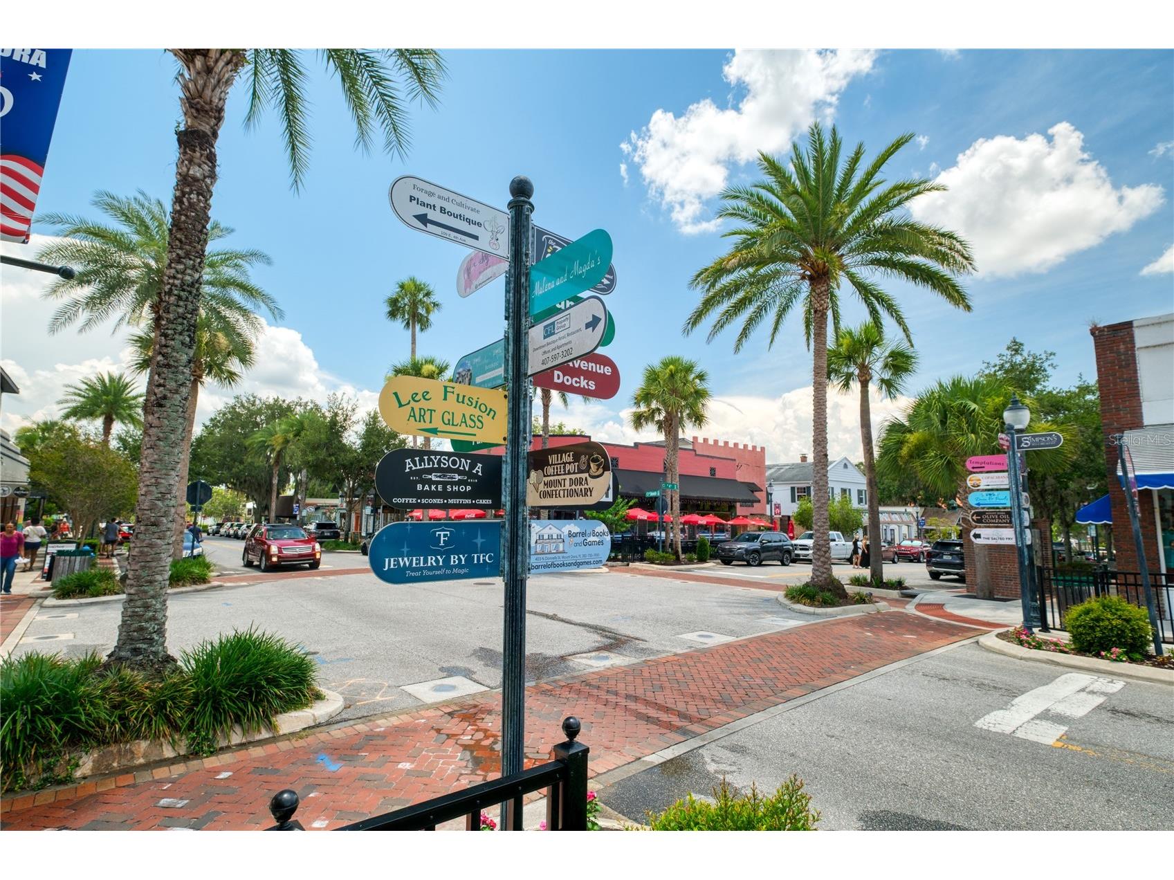7219 Chesterhill Circle Mount Dora FL 32757 O6419625 image86