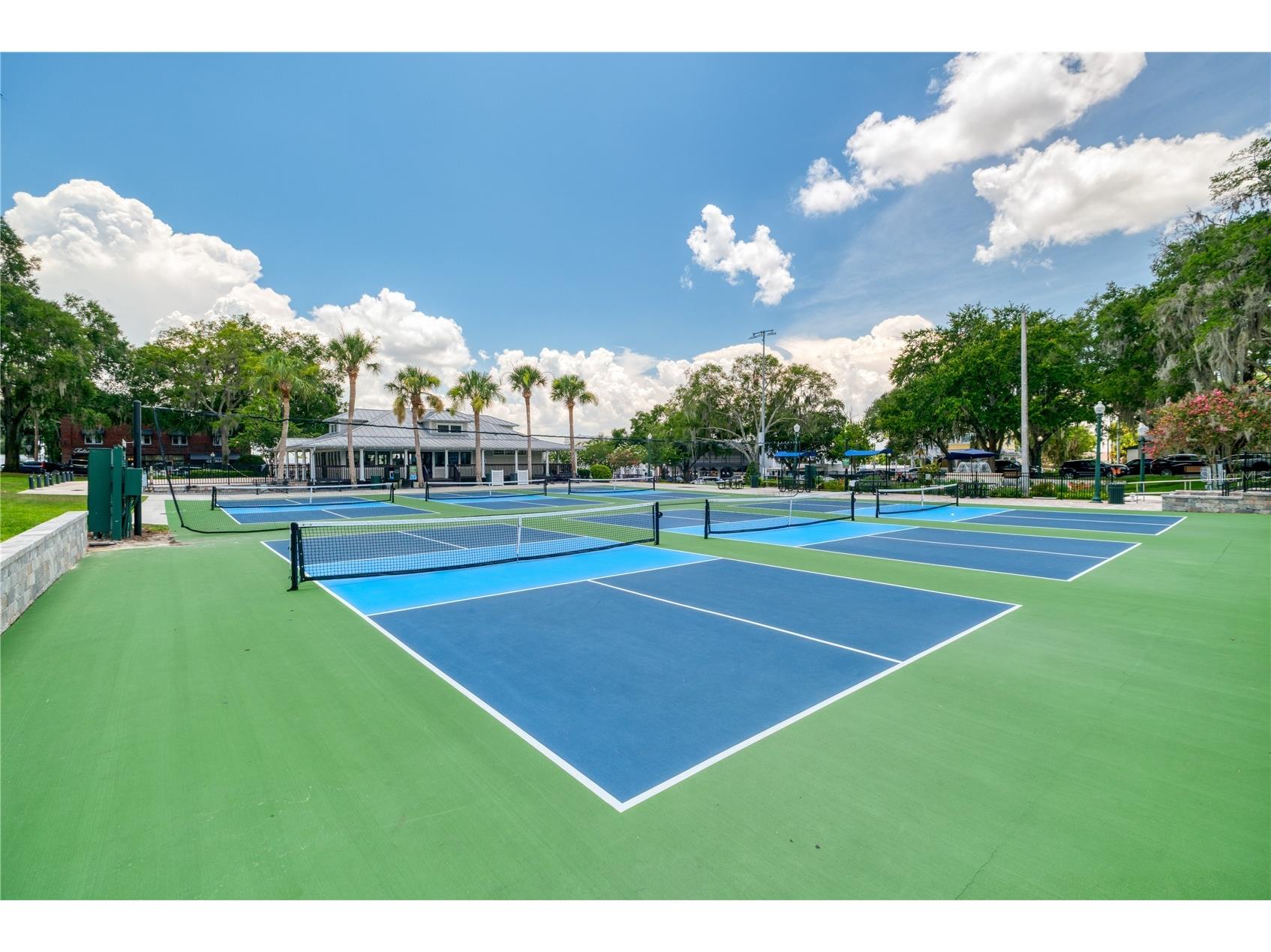 7219 Chesterhill Circle Mount Dora FL 32757 O6419625 image96