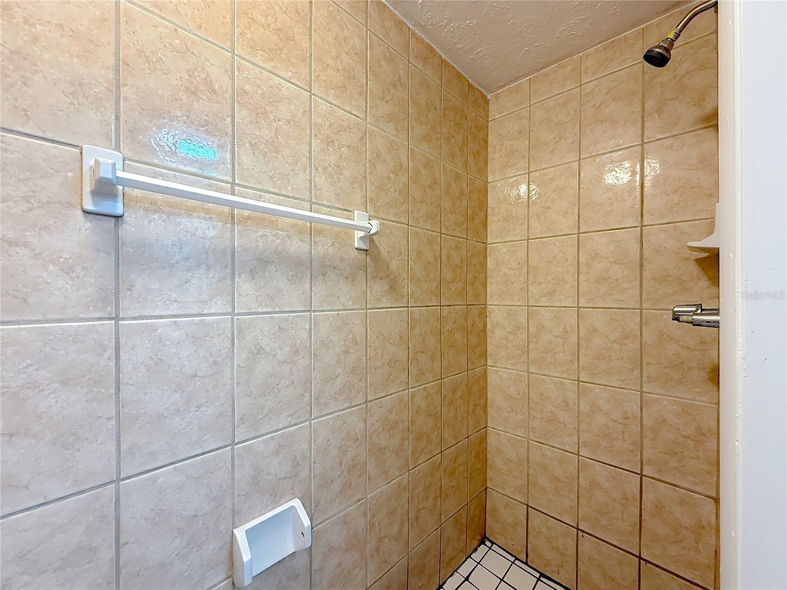 7219 Gulf Highlands Drive Port Richey FL 34668 C7524669 image25