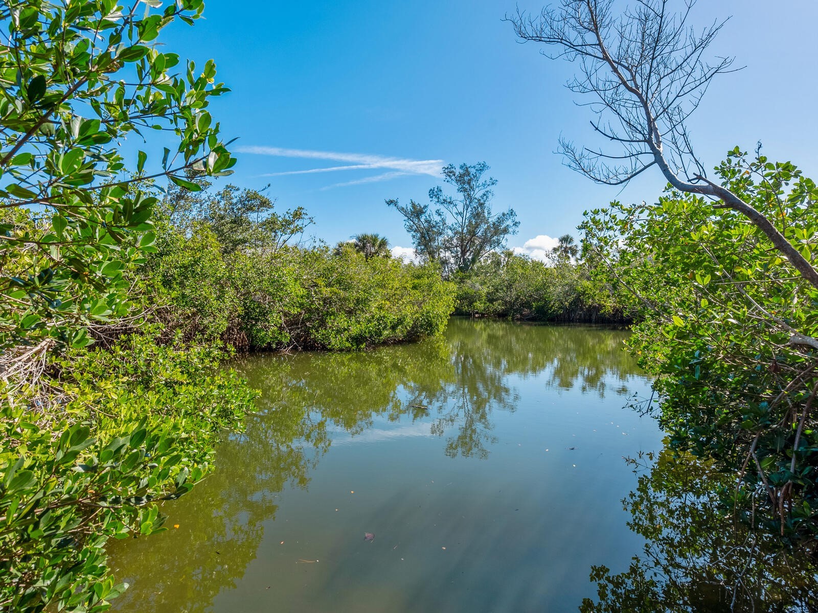 7219 Pine Needle Road Sarasota FL 34242 - HERON LAGOON A4646126 image3