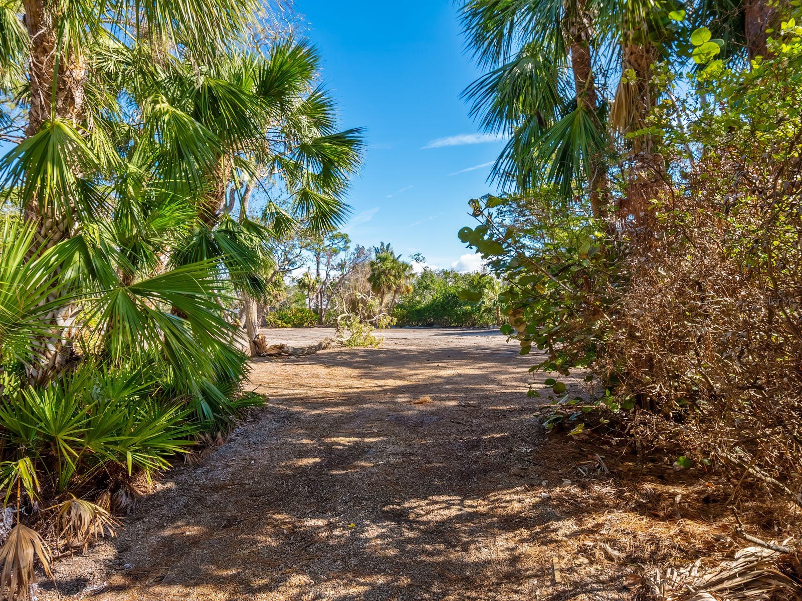 7219 Pine Needle Road Sarasota FL 34242 - HERON LAGOON A4646126 image5