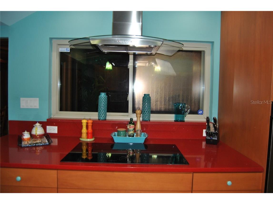 7219 Williams Drive S Saint Petersburg FL 33705 TB8354882 image10