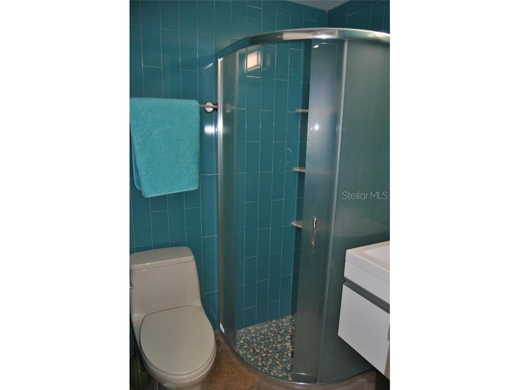 7219 Williams Drive S Saint Petersburg FL 33705 TB8354882 image17